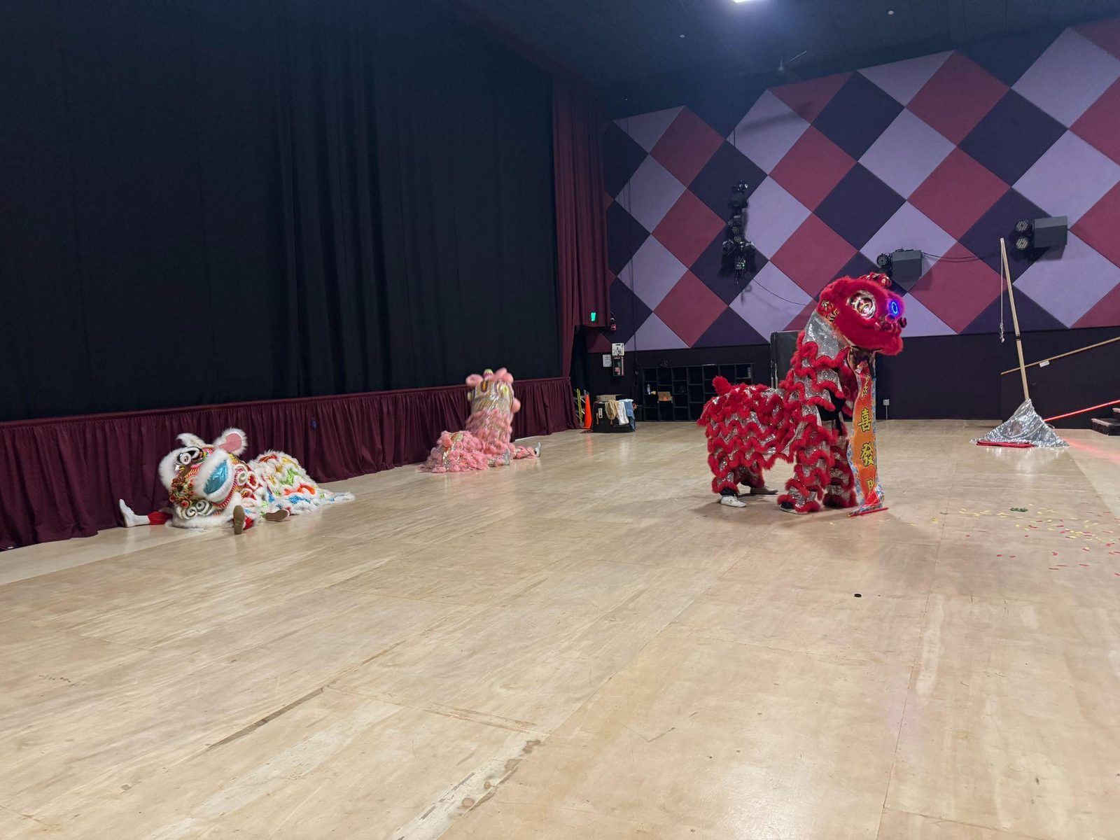 Lion dance performers on stage