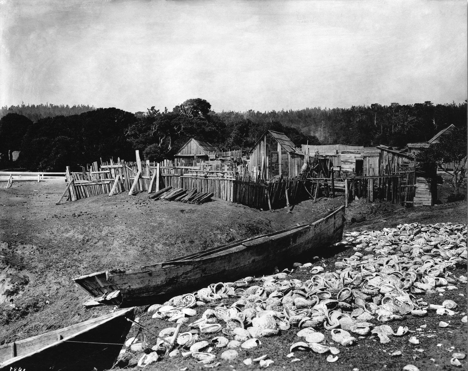 Pescadero fishing village, c. 1900, with abalone shells in the foreground